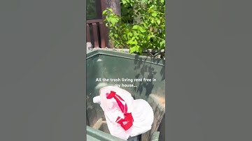 10 days worth of trash leaving my house 🙌 | Decluttering my house