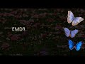 EMDR | Visual meditation | Self-administered | Healing