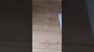 Fabektjes deckruiff def 20251222 1136381