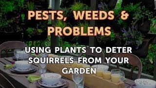 Using Plants to Deter Squirrels from Your Garden