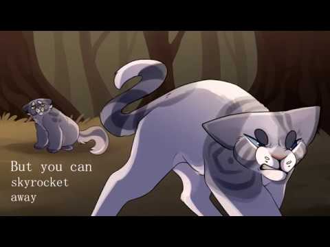 Boats & Birds - Ivypool & Dovewing PMV