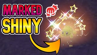 Personality Marked SHINY Joltik After 5 Phases! | Shiny Pokemon Reaction Compilation & Mark Hunt