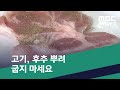 [스마트 리빙] 고기, 후추 뿌려 굽지 마세요 (2020.07.07/뉴스투데이/MBC)