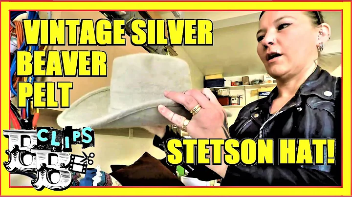 YOU WON'T BELIEVE WHAT THIS VINTAGE SILVER BEAVER ...