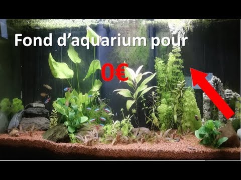 Vidéo: Comment Faire Un Fond Dans Un Aquarium