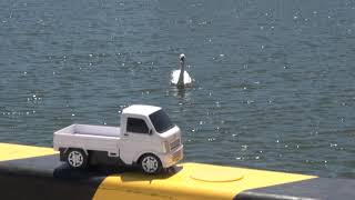 ラジコン軽トラ  Play with radio controltruck