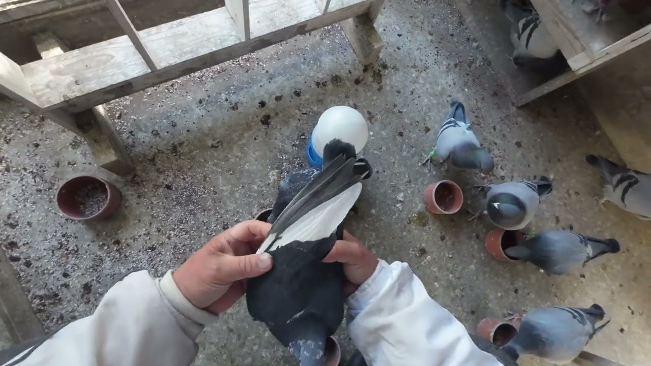 暴風の中帰って来ました