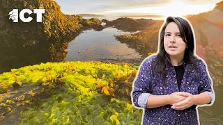 What happens after a land return?