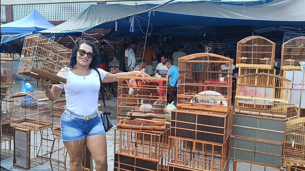 #FEIRA DO CORDEIRO #GAIOLAS #PASSAROS #ACESSORIOS #CRIAR PÁSSAROS.