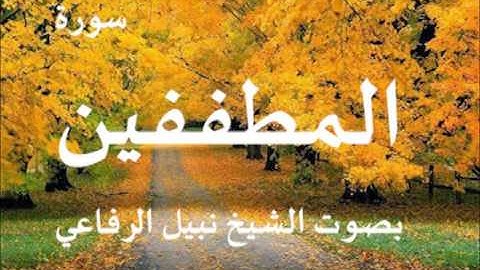 سورة المطففين بصوت الشيخ   نبيل الرفاعي 83