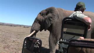 Fgasa Level 1 Promo Dvd For Ulovane Environmental Training