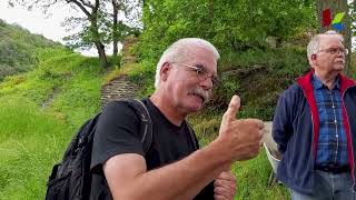 Bewuchs An Historischen Mauern Thomas Merz