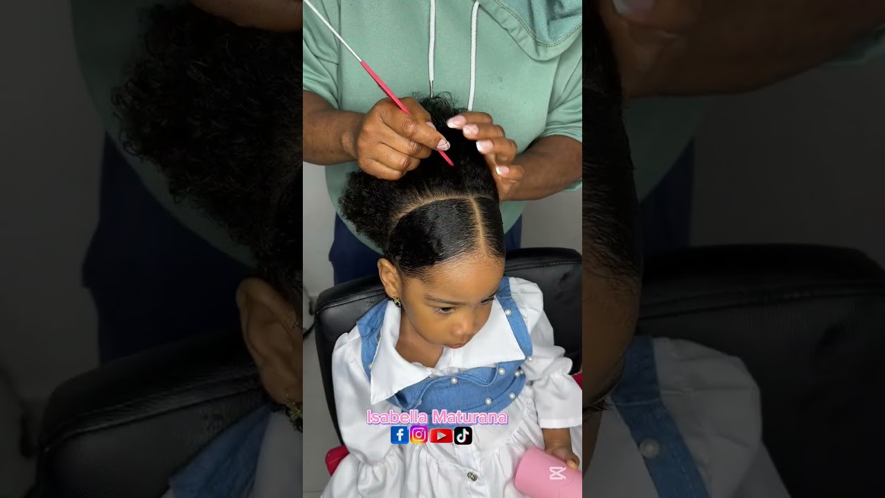 hairstyle for afro hair 