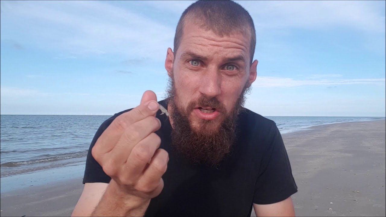 Naturnørd 32. Hesterejen 