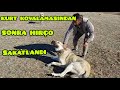 KURT KOVALAMASINDAN SONRA AYAĞI YARALANAN KÖPEĞİM HIRÇO--SOĞUKTAN UYANDIM ATEŞ İÇİMİ ISITTI(11.gün)