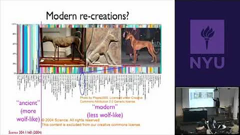 Natural Science II: Genomes and Diversity - Breed Discrimination & Genotypes and Phenotypes