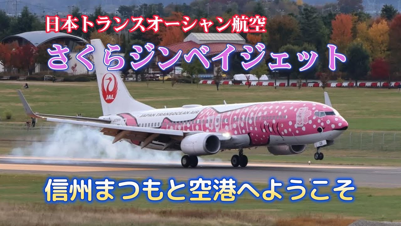 #119 ジンベイジェット、さくらジンベイが松本空港に飛来。桜色で描かれたジンベイザメが可愛い。#電動車椅子 #ジンベイジェット #さくらジンベイ #松本空港　概要欄もご覧ください
