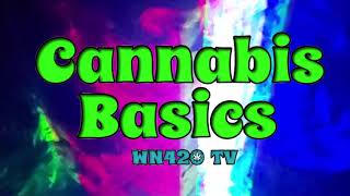 Rolling Papers 101