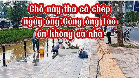Đi kiếm chỗ phóng sinh cá chép ngày ông Công ông Táo