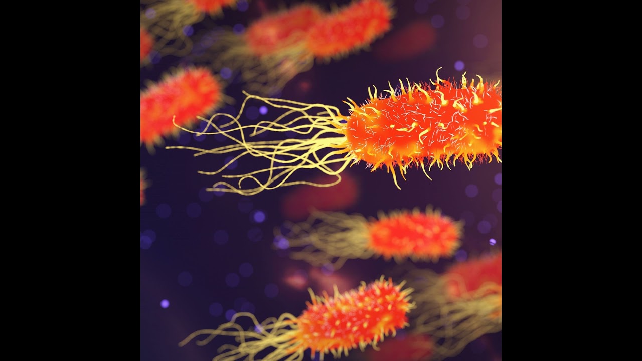 World Sepsis Day 2026: Beware The Great Impostor