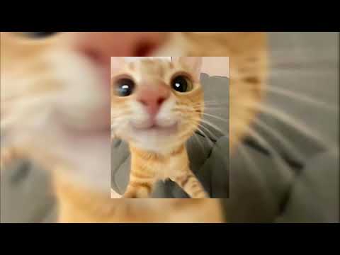 Maman J Ai Mal MHD Best Part Speed Up