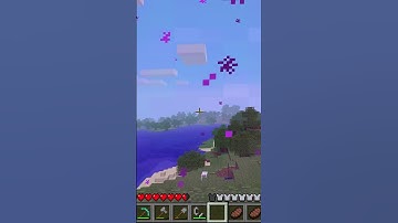 Entering the nether for the first time #shorts #minecraft #minecraftmemes #minecraftalpha #alpha