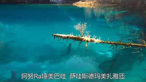 百字明  王菲 演唱   The Hundred Syllable Vajrasattva Mantra