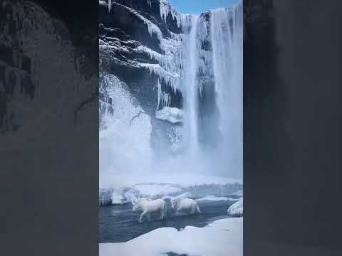 Video: İzlanda'nın Skógafoss Şelalesi: Eksiksiz Kılavuz