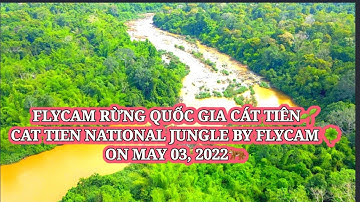 FLYCAM RỪNG QUỐC GIA CÁT TIÊN NGÀY 03 THÁNG 05 NĂM 2022🐅🍀🇻🇳| CAT TIEN NATIONAL JUNGLE BY FLYCAM🐅🌱🇻🇳