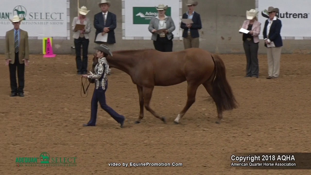 2018 Aqha Select Showmanship Youtube