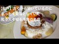 【松戸】で古くから続いているのに まったく見落としていた 知る人ぞ知る洋食の名店 @gotono-bkyugurumetabi