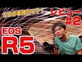 EOS R5レビュー！＃2 使ってみて良かったところ（手ブレ補正、AF/被写体認識、CFexpress/連写）- EOS R5 review. (IBIS, AF, CFexpress)