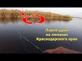 Рыбалка в Краснодарском крае. Ловля щуки на лиманах в ноябре!