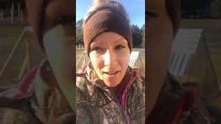 Meat Bird Update Daily Meat Bird Routine Raising Meat Birds On The Farm