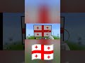 Shorts minecraft flag georgia country