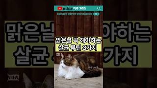 📌맑은날 꼭 해야하는 살균 루틴 3가지