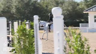 RSH Galaxy Dream - Pin Oak IV - Children's Hunter Classic
