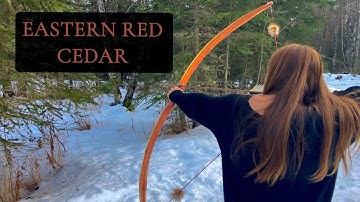 Crafting a Red Cedar Bow From Start To Finish