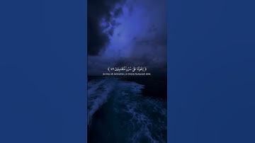 Surah Al-Hijr 45-48 سورة الحجر  @NoCreditQuranOverlay #qurancadence