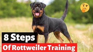 How to Properly Train a Rottweiler? 8 Steps of Rottweiler Training