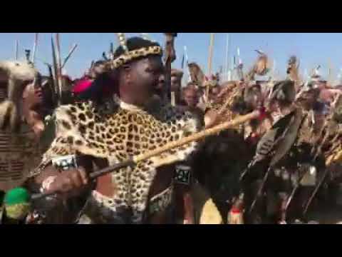 Best Zulu warrior Chants