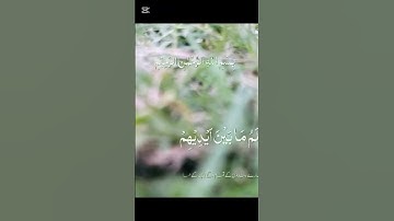 تلاوه #قران كريم#اكسبلور..اجر لي ولكم