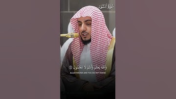 ما تيسر من سورة النور | تلاوة فضيلة الشيخ د.#الوليد_الشمسان
