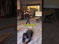 One Exercise, Every Core Muscle #FitnessTips #CoreWorkout #Shorts