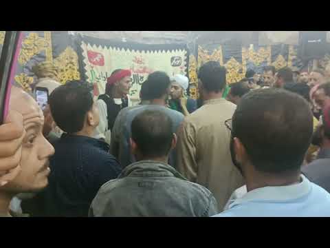 الشيخ محمد حمادة من مولد السيد البدوى لعام 2023 