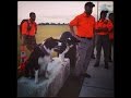 TEXSAR: Texas Search and Rescue, TEXSAR: Texas Search and Rescue,