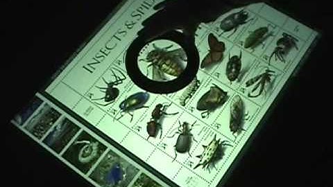 Microsoft Surface Magnify Demo