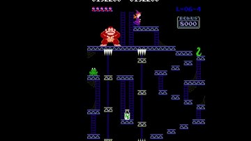 Donkey Kong Spooky Remix 6-4 6900