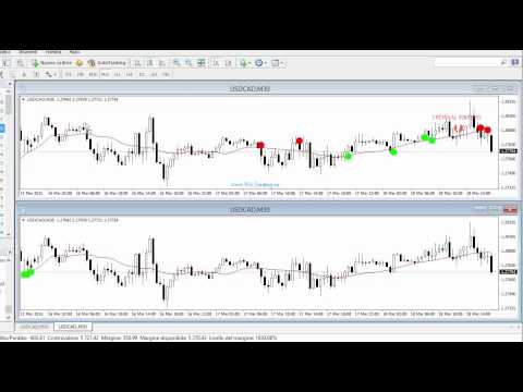 Opzioni binarie e forex