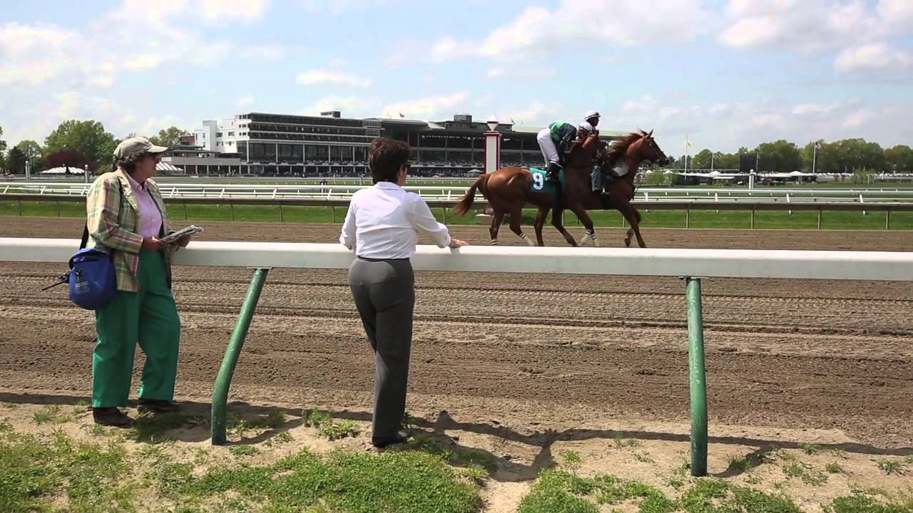Meet the veterinarian who will make sure American Pharoah and the